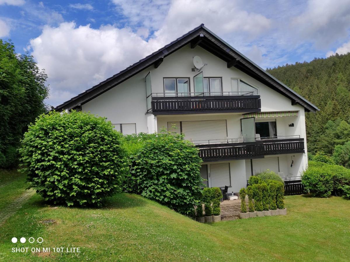 Ferienwohnungen Lang Willingen  Exterior foto