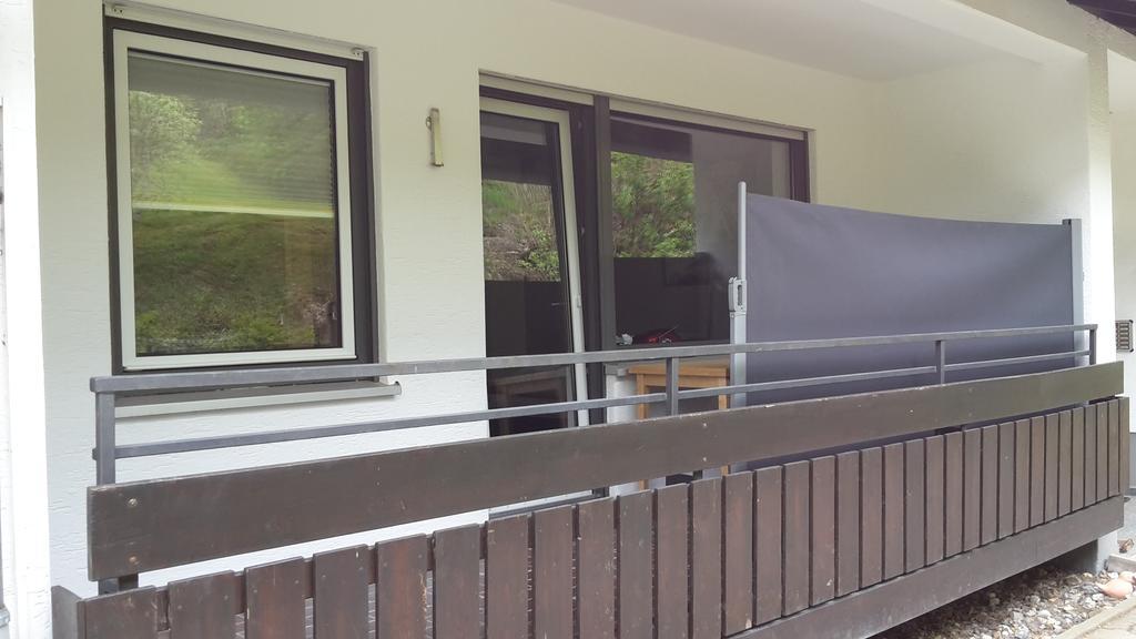 Ferienwohnungen Lang Willingen  Exterior foto